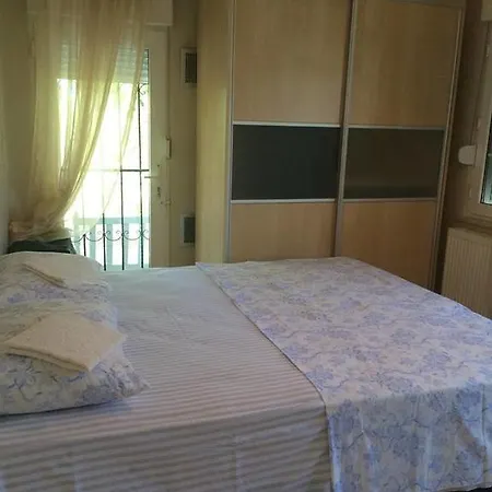 Sezgul Ayvalı