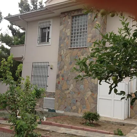 Sezgul *