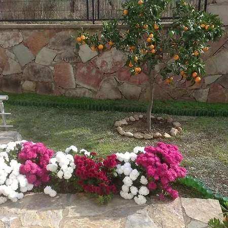 Villa Sezgul