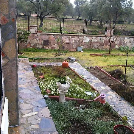 Sezgul * Ayvalı