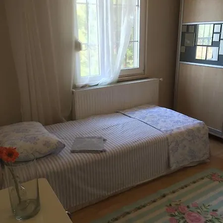 Sezgul Ayvalı